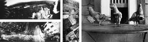 The Origins of Aerial Photography - Cameras in the Sky Since the 1800's